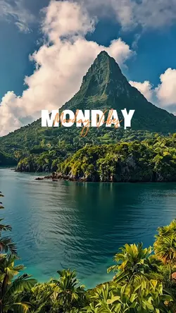 Monday Vibes