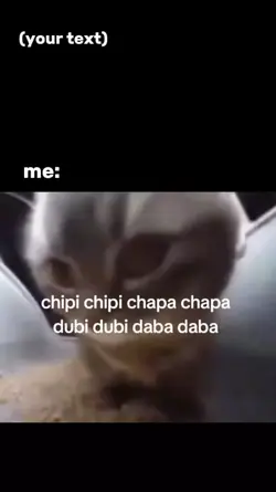 Chipichipichapachapa