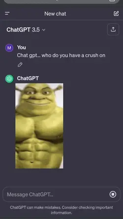 Chat gpt crush ]