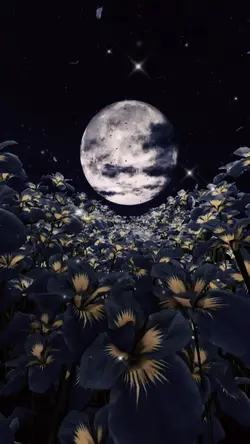 BEAUTIFUL PLANET 