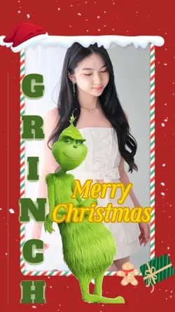 Christmas Grinch