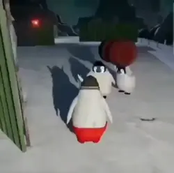 펭귄 밈