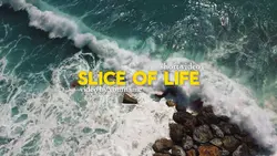 SLICE OF LIFE