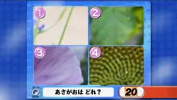 4択クイズ　オールスター感謝祭風