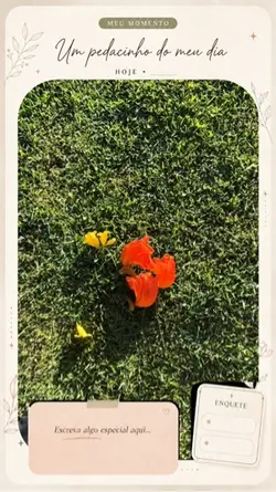 Pedacinho do dia