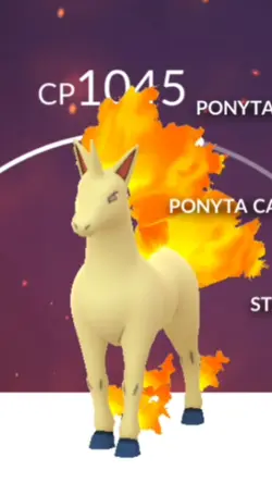 Pokemon Rapidash