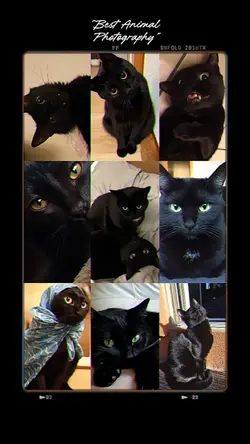 BEST PHOTOGRAPHY 