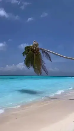 Top 5 destinations