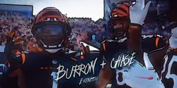 Bengals edit