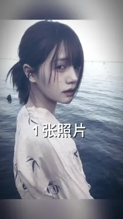 样本 1 张照片     