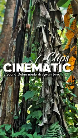 CINEMATIC 7 KLIP 