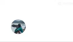 meme nicho