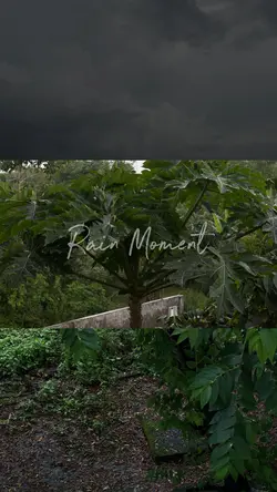 3 Video 1 Frame