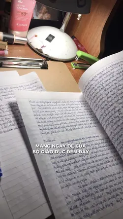mang ngay đề chính 