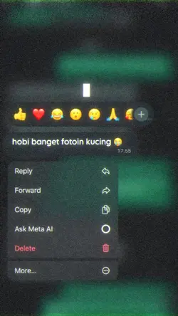 kucingnya lucu poll
