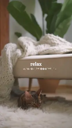 Relax