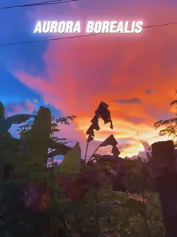 SUNSET LOVERS