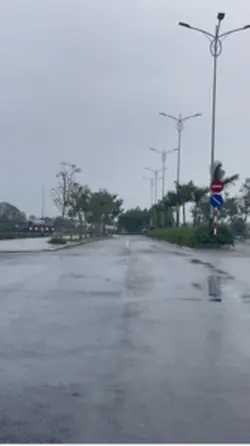 mẫu 1 video 1 ảnh