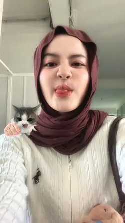 kucing bisa digeser