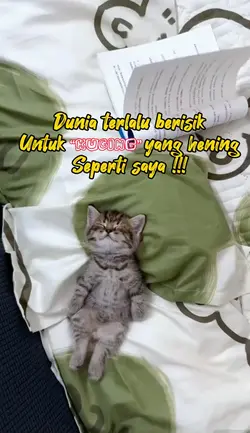 Kucing cute