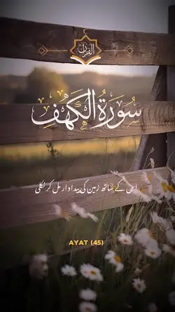 Quran translation 