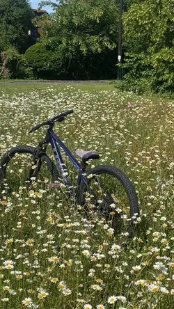 Shit wheelie icl 