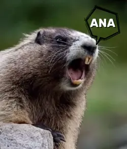 ANA
