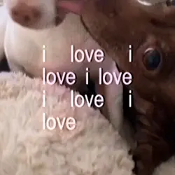 i love
