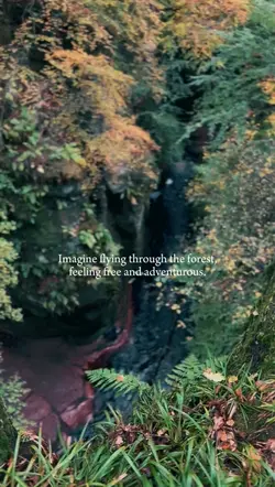Forest heals you 