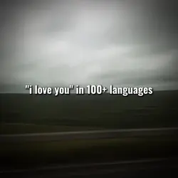 i love you