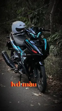 1vd màu
