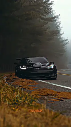 CORVETTE