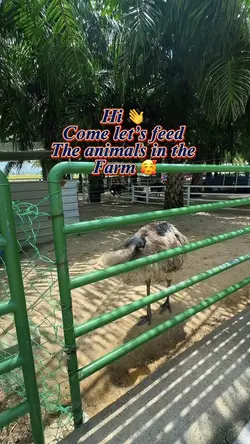 Mini zoo💙