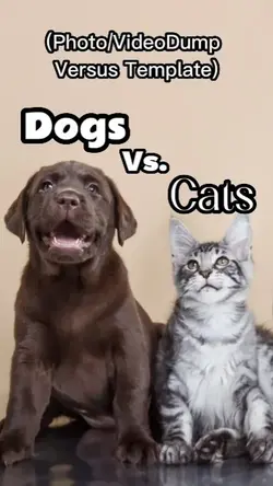 Cats Vs. Dogs 
