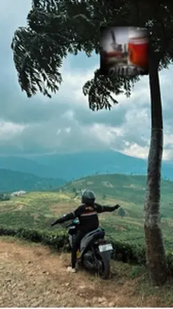 Garut teh 