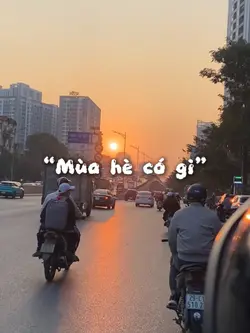 Mùa hè có gì?