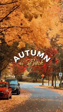 autumn is back