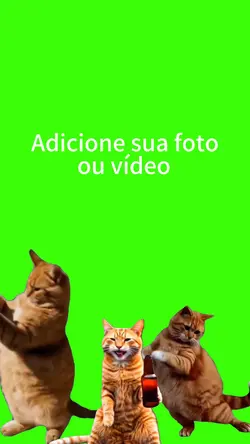 Gatinhos.