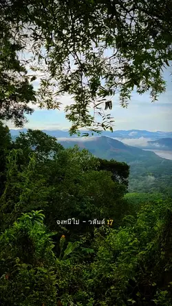 จงหนีไป