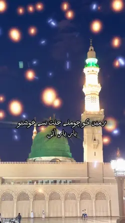 محمد مصطفی ﷺ آئے،