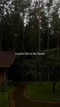 quite life forest
