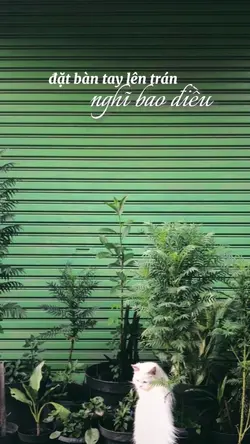 khi ta lớn 