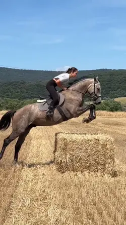 jumping bayles>> 😍