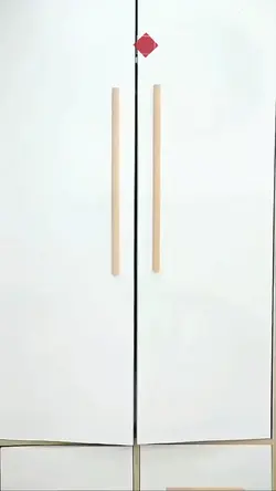Organizer