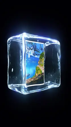 9 clips