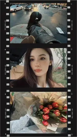 Camera Roll 