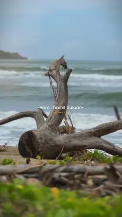 Cinematic kece 
