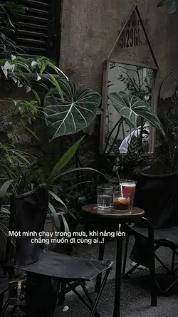 Caption + màu