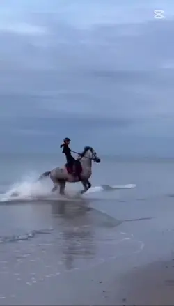 Free horse riding ed