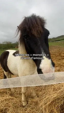 Même les monstres